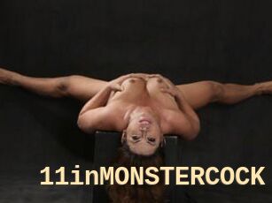 11inMONSTERCOCK