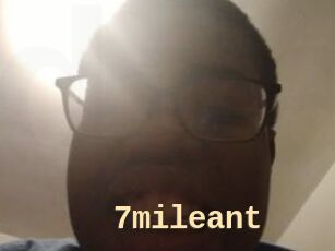 7mileant