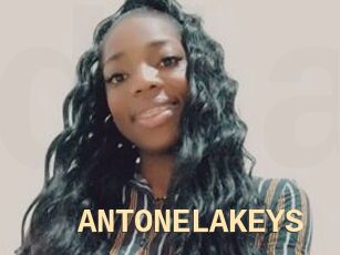 ANTONELAKEYS