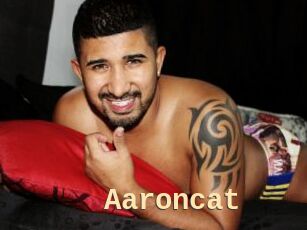 Aaroncat