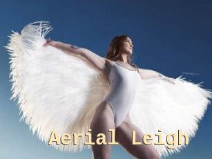 Aerial_Leigh