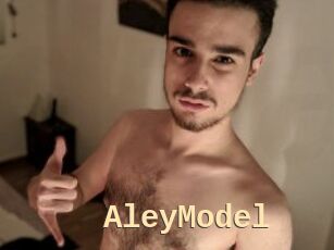 AleyModel