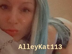 AlleyKat113