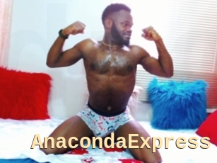 AnacondaExpress