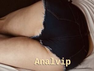 Analvip