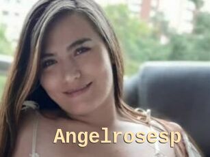 Angelrosesp