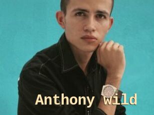 Anthony_wild