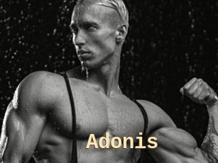 Adonis