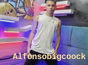 Alfonsobigcoock