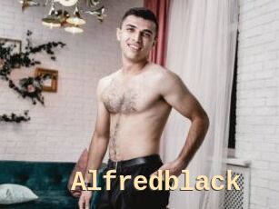 Alfredblack