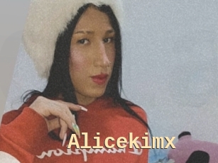 Alicekimx