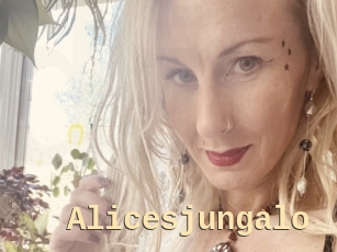 Alicesjungalo