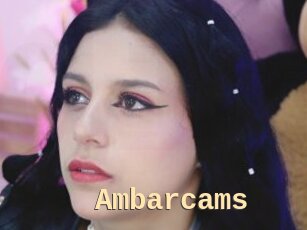 Ambarcams