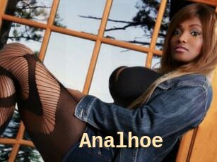 Analhoe