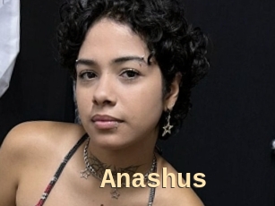 Anashus