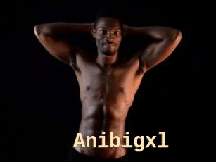 Anibigxl