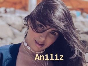 Aniliz