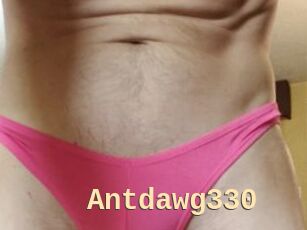 Antdawg330