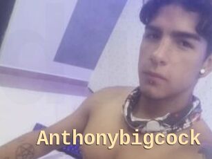 Anthonybigcock