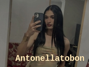 Antonellatobon