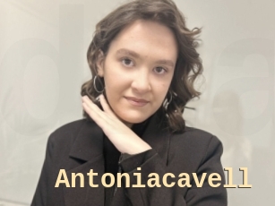 Antoniacavell