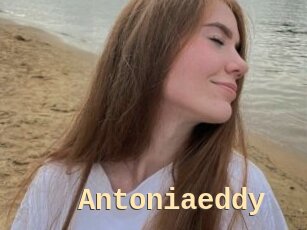 Antoniaeddy