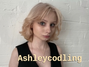 Ashleycodling