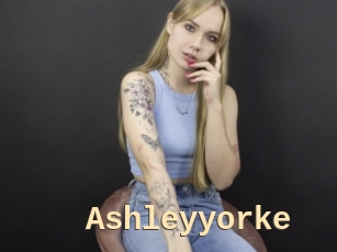 Ashleyyorke