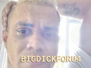 BIGDICKFORU4