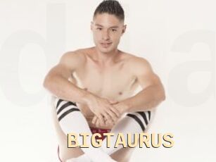 BIGTAURUS