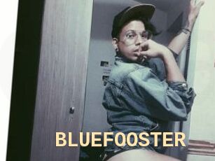 BLUEFOOSTER