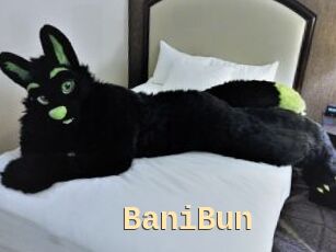 BaniBun