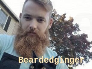 Beardedginger