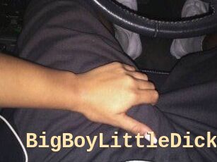 BigBoyLittleDick