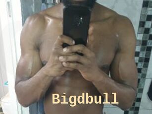 Bigdbull