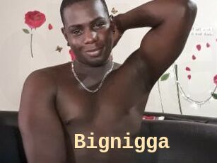 Bignigga