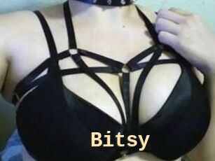 Bitsy_