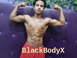 BlackBodyX