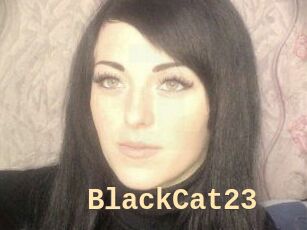 BlackCat23