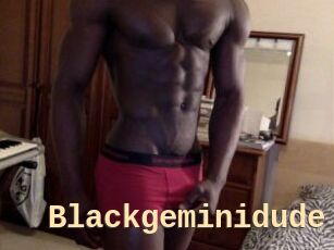 Blackgeminidude