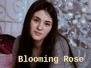 Blooming_Rose