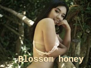 Blossom_honey