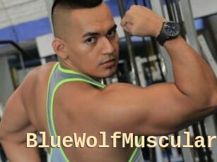 BlueWolfMuscular