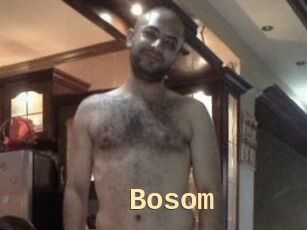 Bosom