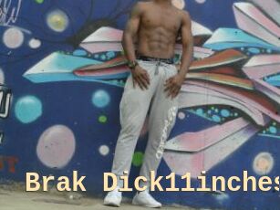 Brak_Dick11inches