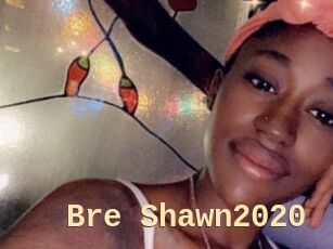 Bre_Shawn2020