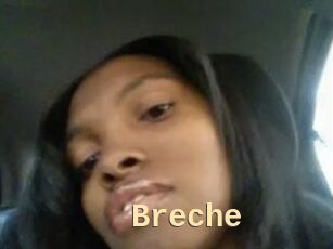 Breche