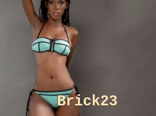 Brick23