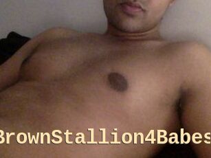 BrownStallion4Babes