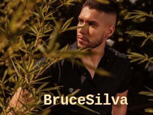 BruceSilva